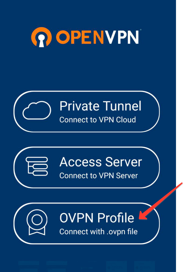 Шаг 3 Настройка OpenVPN RocketVPN Network